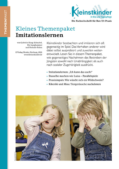 Imitationslernen